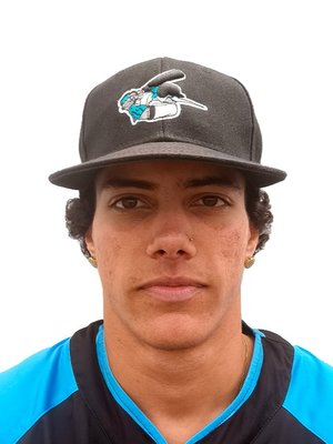 Dayan González Labaceno